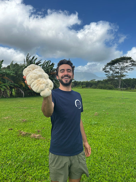Lion's Mane Cacao (Energy)