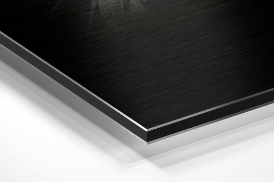 Bird Brushed Aluminium Dibond Wall Art