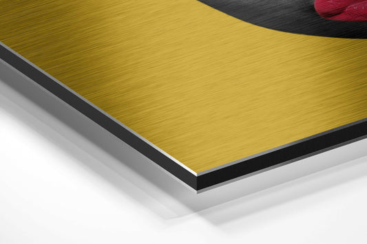 Red Hat Brushed Aluminium Dibond Wall Art