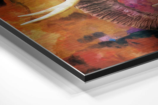Colorful Splash Elephant Brushed Aluminium Dibond Wall Art