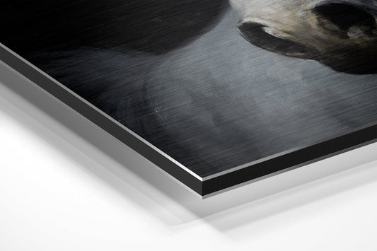 White Horse Head Dark Backdrop Brushed Aluminium Dibond Wall Art