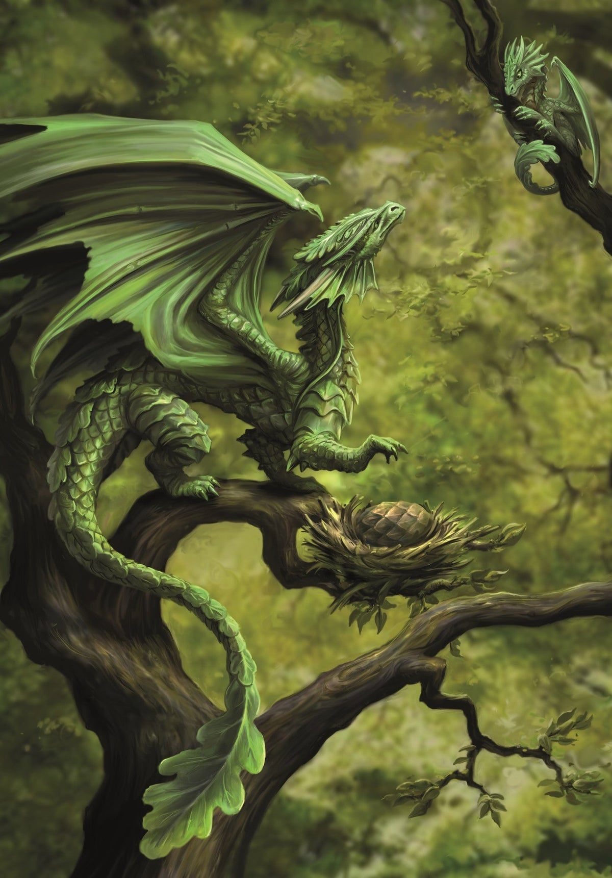 Forest Dragon Card