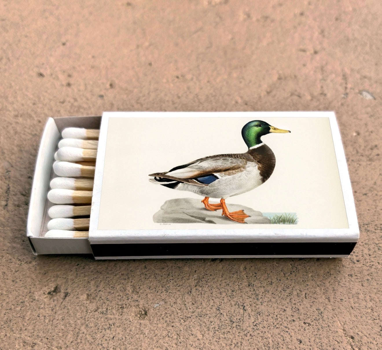 Mallard Duck Matchbox Otarealm