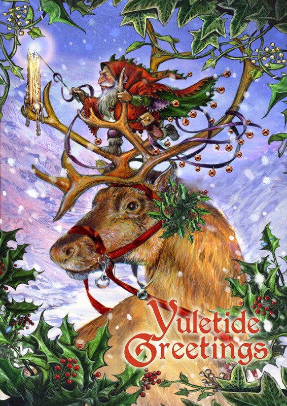 Guided by Northern Lights Yule Card