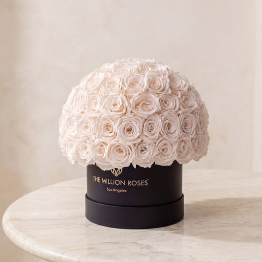 Classic Black Superdome Box | White Roses