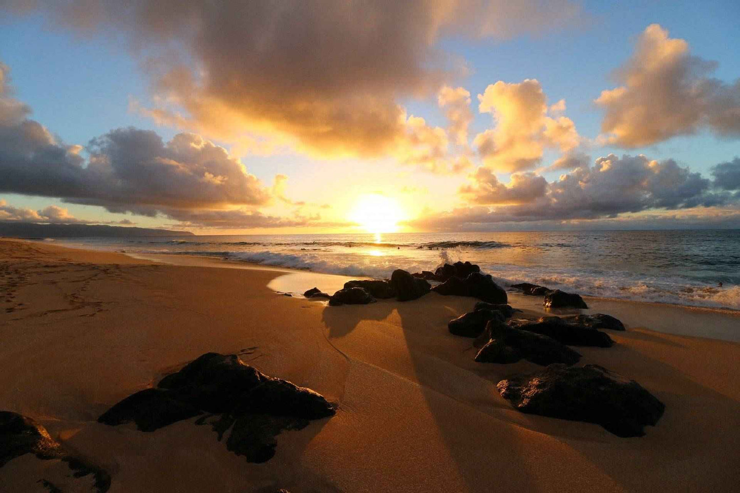 Hawaiian Sandalwood - Premium Fragrance Oil