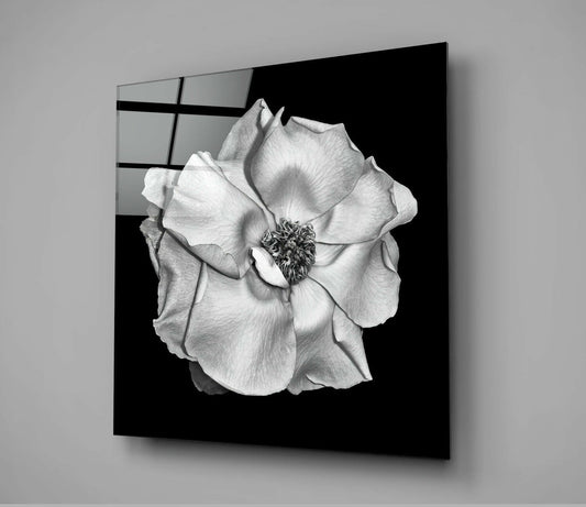 Monochrome White Rose Glass Wall Art