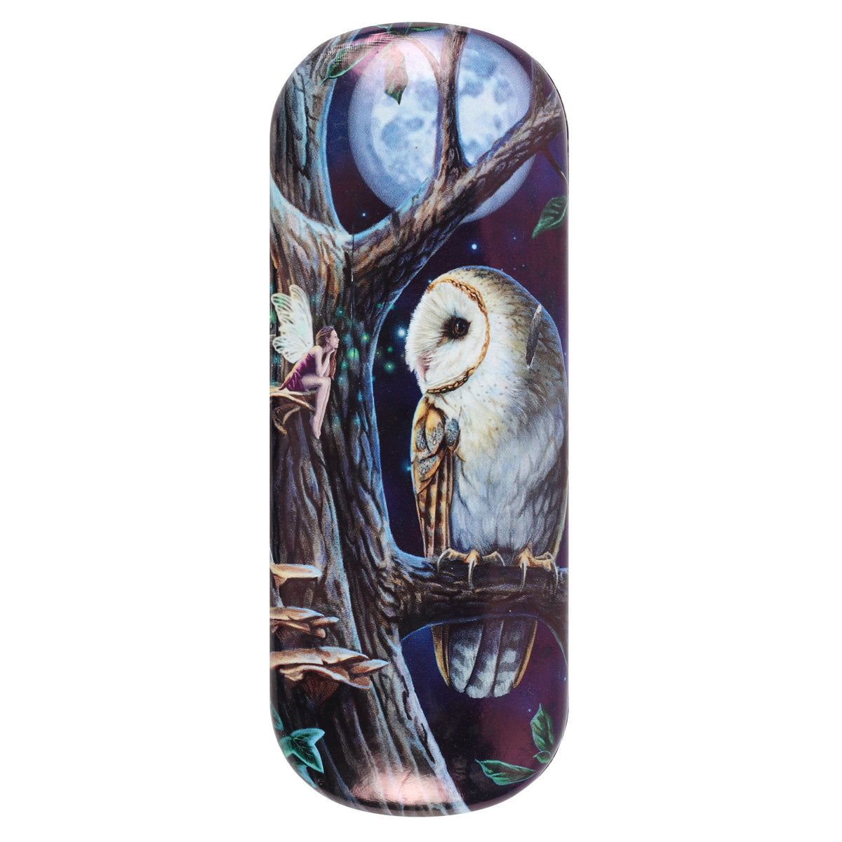 Fairy Tales (Barn Owl) Eyeglass Case by Lisa Parker