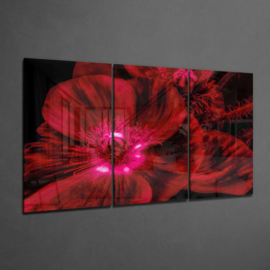 Glowing Crimson Poppy Macro Glass Wall Art