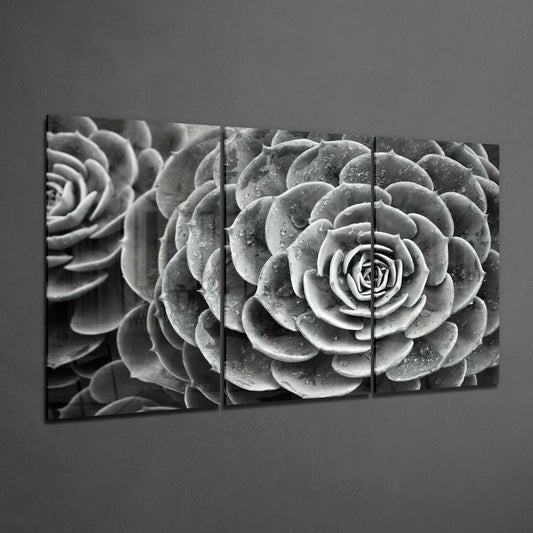 Succulent Glass Wall Art