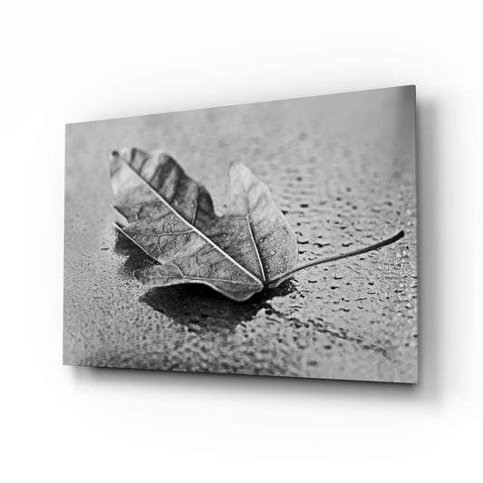 Curled Dry Leaf Monochrome Glass Wall Art