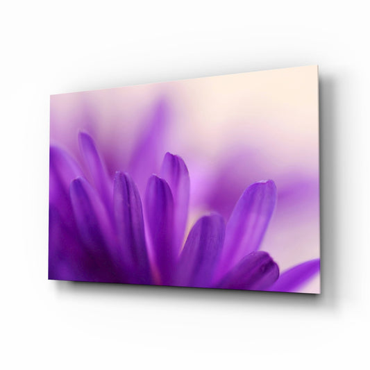Soft Purple Daisy Petals Glass Wall Art