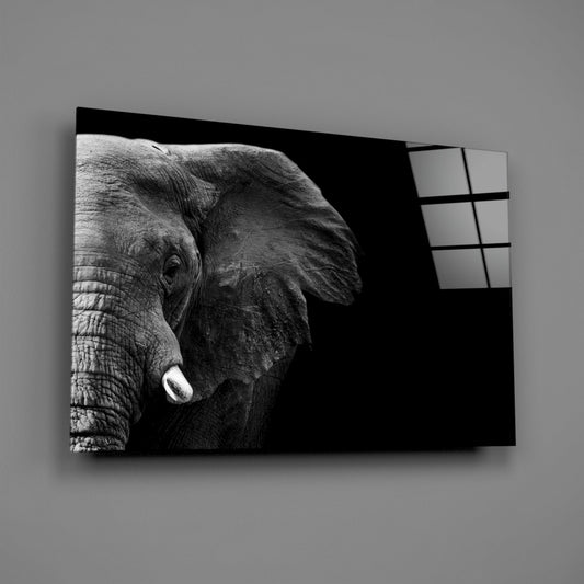 Dramatic Black Background Elephant Glass Wall Art
