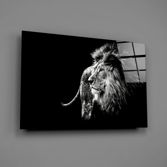 Windswept Lion Side Profile Glass Wall Art
