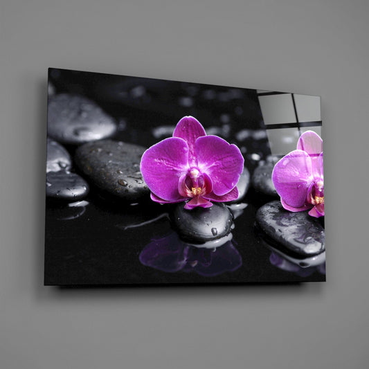 Magenta Orchids On Wet Zen Stones Glass Wall Art