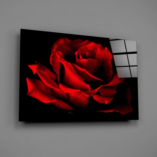 Dark Velvet Red Rose Petals Glass Wall Art