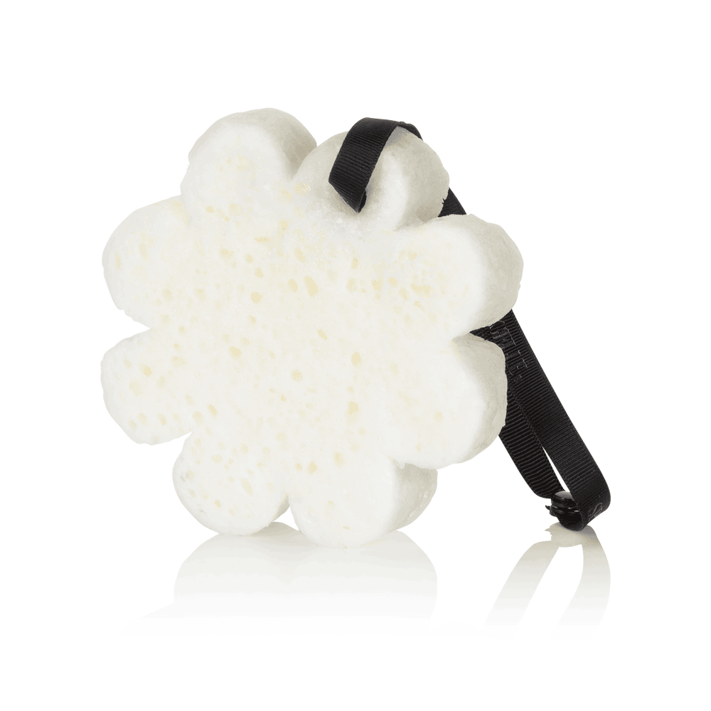Sego Lily | Elevation Boxed Flower Otarealm