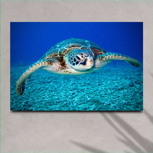Green Sea Turtle Canvas Wall Art Otarealm