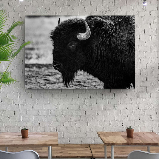 Black and White Bison Canvas Wall Art Otarealm