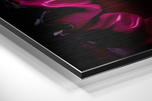 Magenta Jacket Rhino With Headphones Brushed Aluminum Dibond Wall Art