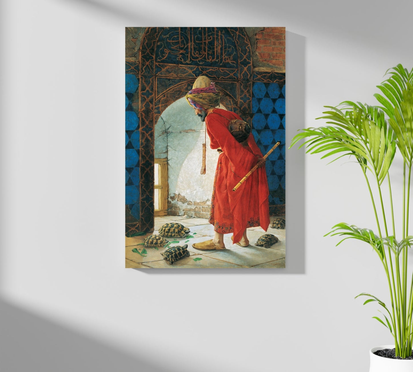Red Robe Tortoise Trainer Classic Aluminum Print