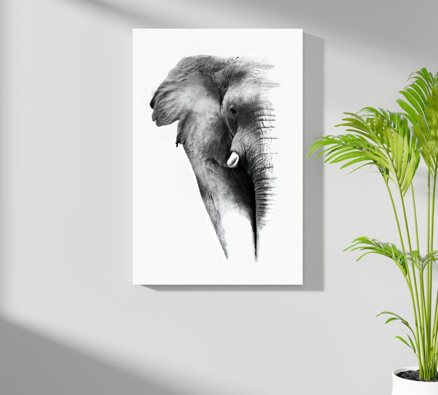 Soft Pencil Sketch Fading Elephant Head Aluminum Print