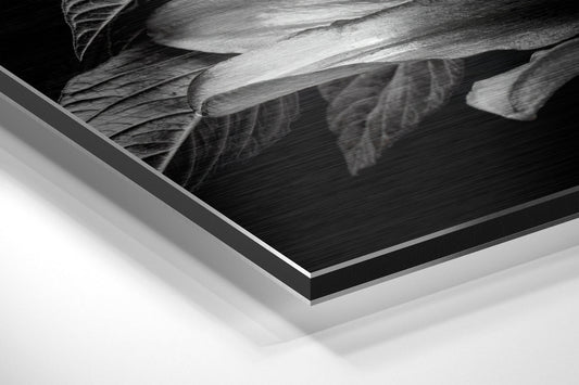 Monochrome Lilies Golden Leaves Brushed Aluminium Dibond Wall Art