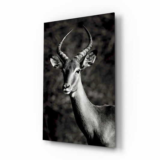 Black and White Impala Portrait Glass Wall Art