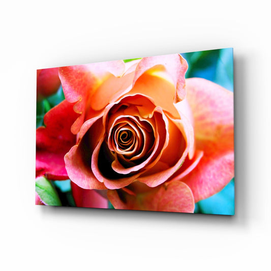 Peach Rose Teal Backdrop Glass Wall Art