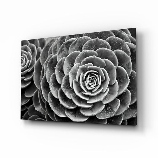 Monochrome Succulent Rosette Glass Wall Art