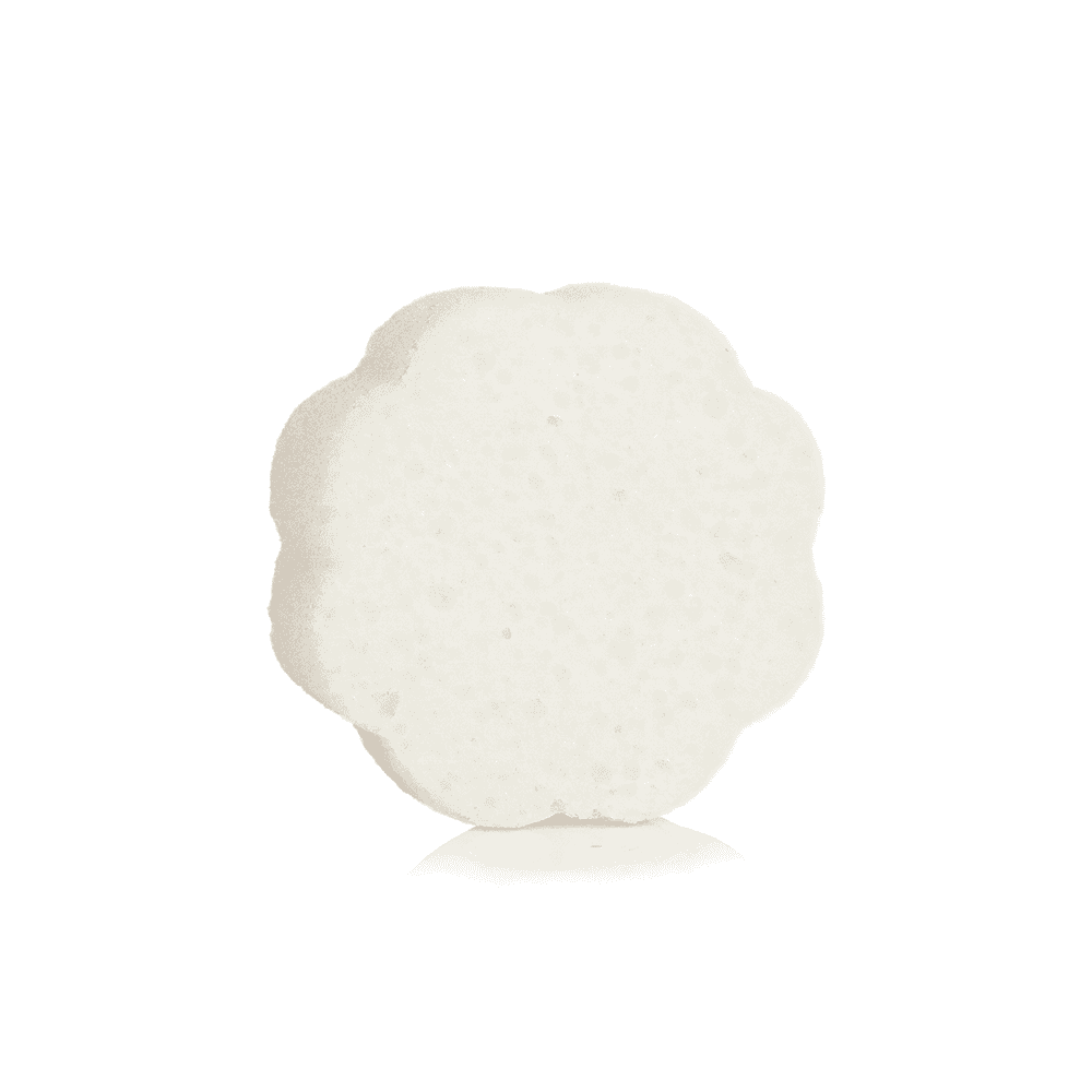 Grapefruit Cassis | Daisy Spongette Otarealm