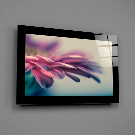 Pink Petal Macro Daisy Flower Glass Wall Art