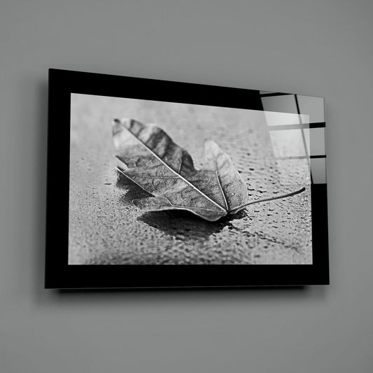Raindrop Fallen Leaf Glass Wall Art