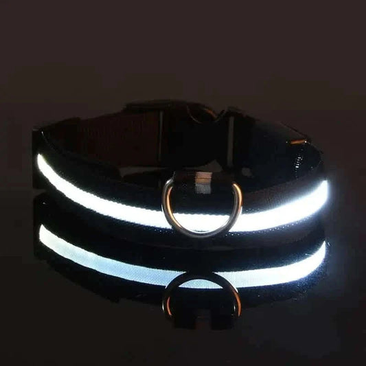 LED Dog Collars Light Adjustable Flashing Luminous Collar Night Anti-Lost Otarealm