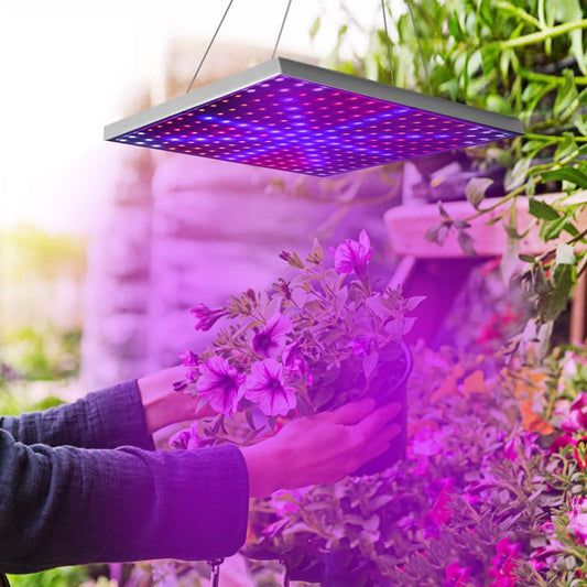 LED Grow Light Full Spectrum Hanging Otarealm