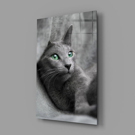 Green Eyed Gray Cat Glass Wall Art