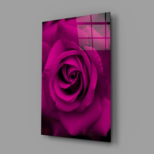 Magenta Velvet Rose Glass Wall Art