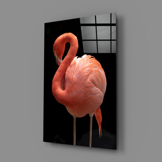 Coral Flamingo Curved Neck Glass Wall Art