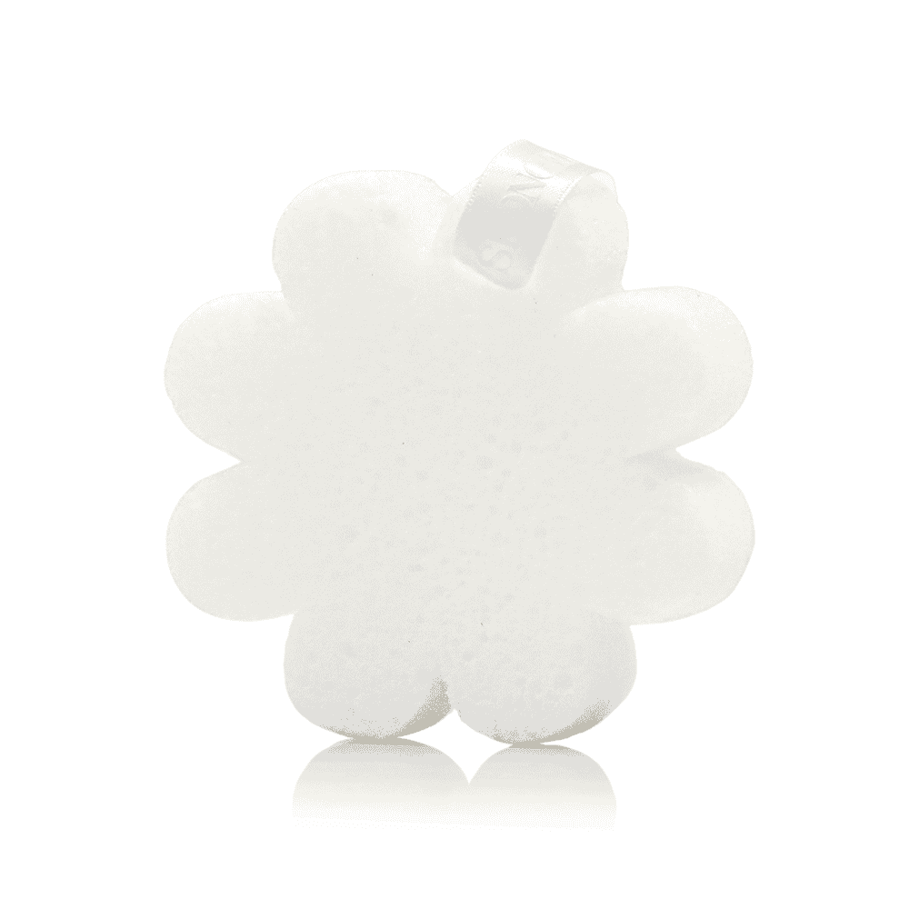 Lily of the Valley | Boxed Flower Otarealm