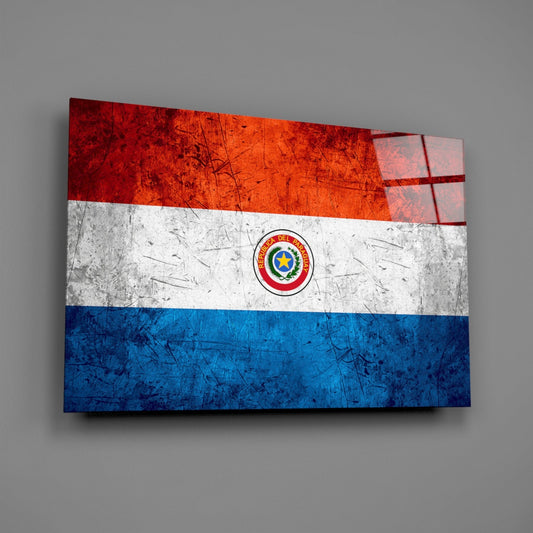 Scratched Metal Paraguay Seal Flag Glass Wall Art