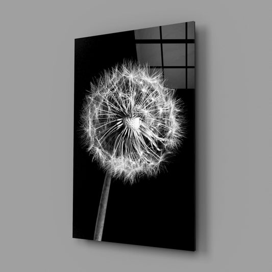 Wispy Dandelion Seed Head Glass Wall Art