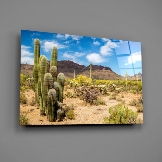 Cactuses Glass Wall Art