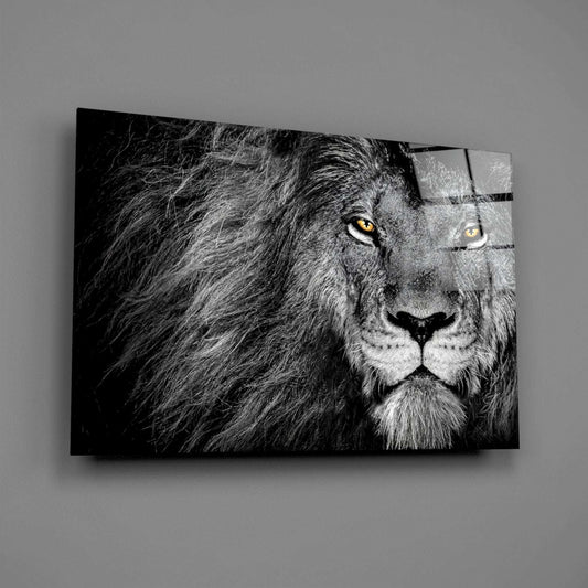 Amber Gaze Monochrome Lion Glass Wall Art Otarealm