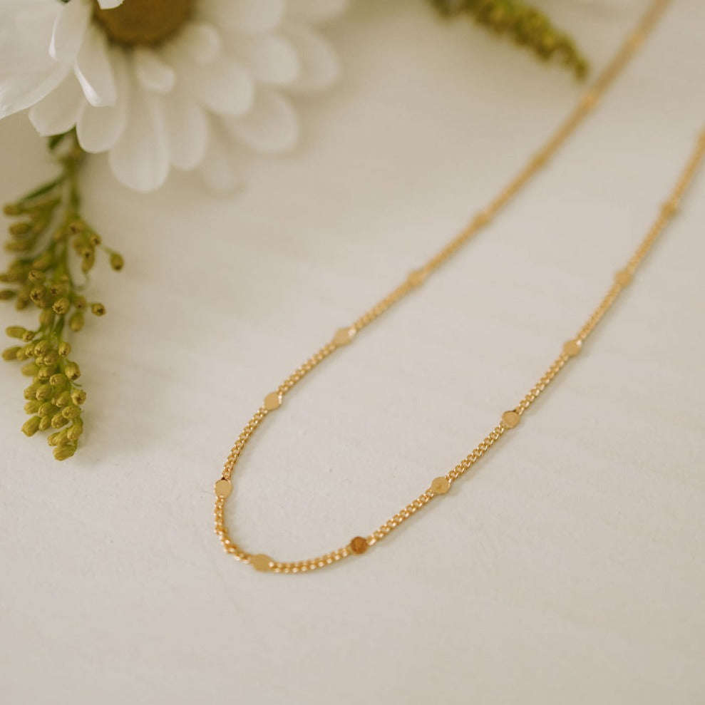 Nora Gold Filled Necklace Otarealm