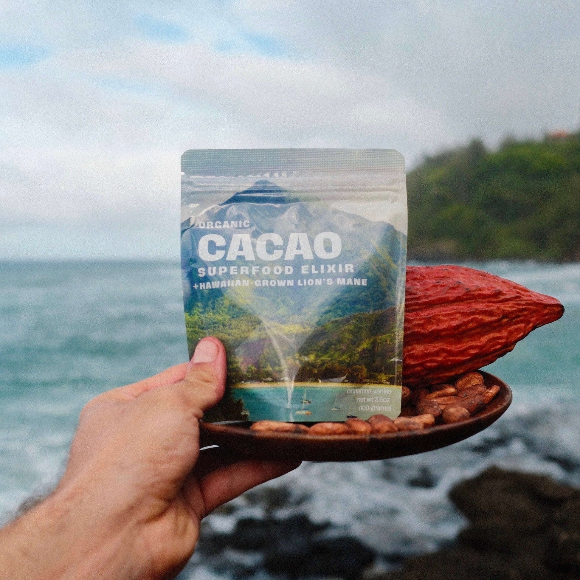 Lion's Mane Cacao (Energy) Otarealm