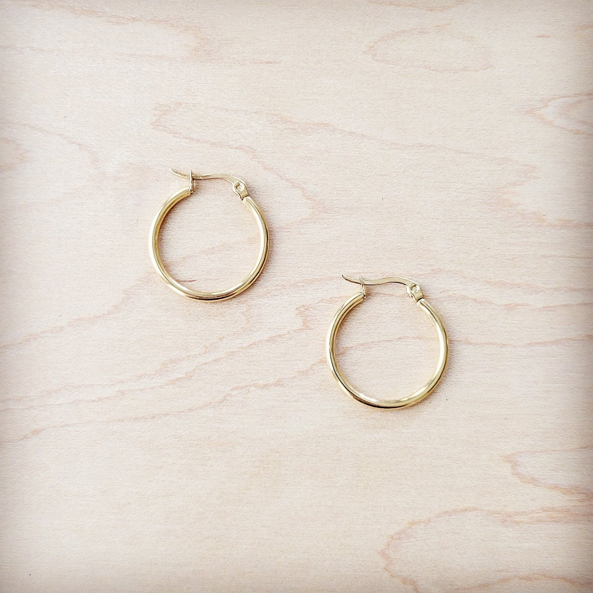 **Small Stainless Steel Hoop Earrings 18K Gold Plating 219a