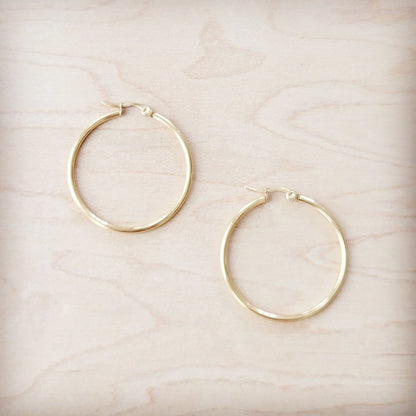 **Medium Stainless Steel Hoop Earrings 18K Gold Plating 219b