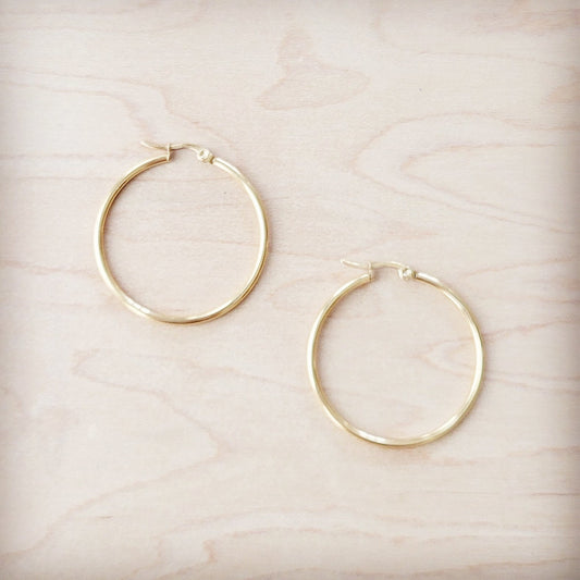 **Medium Stainless Steel Hoop Earrings 18K Gold Plating 219b