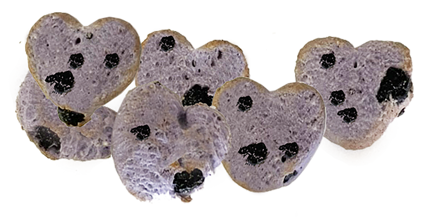 Much Loved Dog™ Blueberry Set