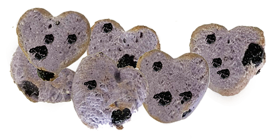 Much Loved Dog™ Blueberry Set